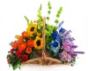 Rainbow Bridge Basket